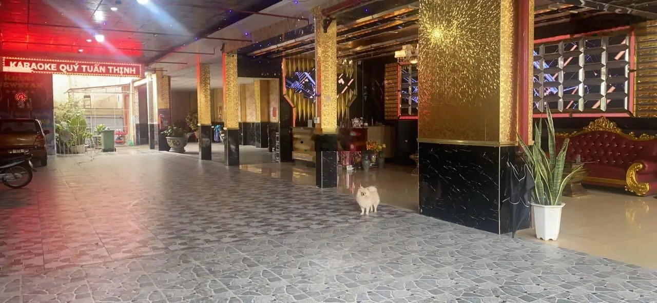 Bán MT KD đường Trần Quang Diệu, TP Quảng Ngãi. DT 1000m2, MT 11.5m, đường 10m, đang kinh doanh