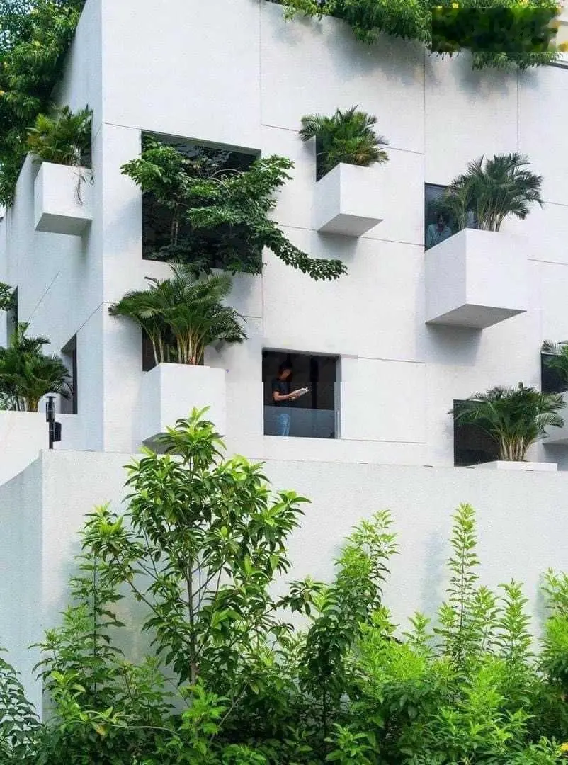 Biệt thự có gu đẹp An Phú An Khánh - DT 12x20 - 240m2 - 3 tầng - Hồ cá Koi view CV chỉ 58 tỷ
