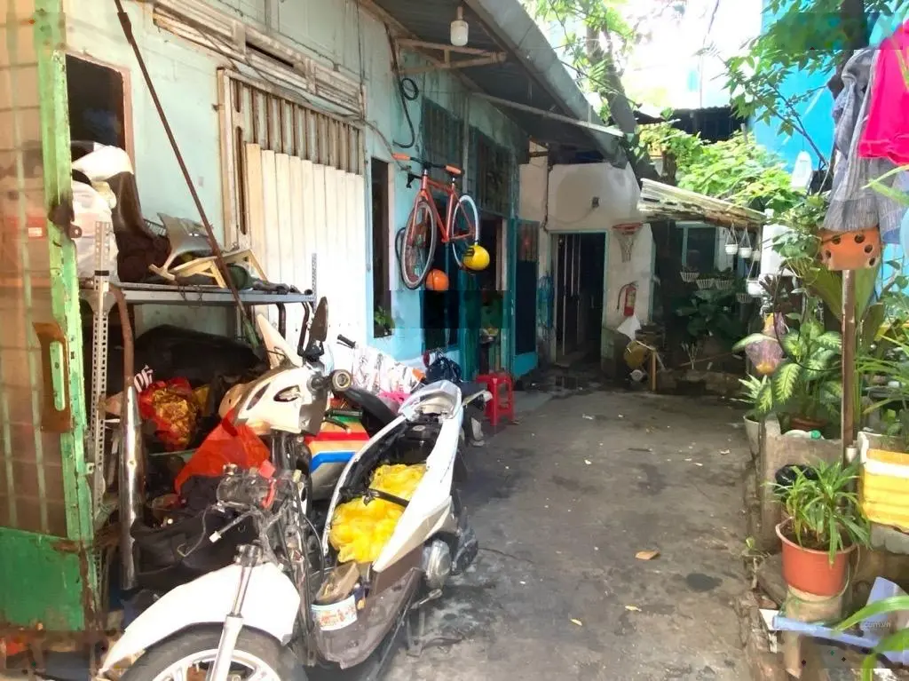 Bao đầu tư, đất, nhà cấp 4 diện tích lớn, nhỉnh 50tr/m2, tiện phân lô, xây mới CHDV