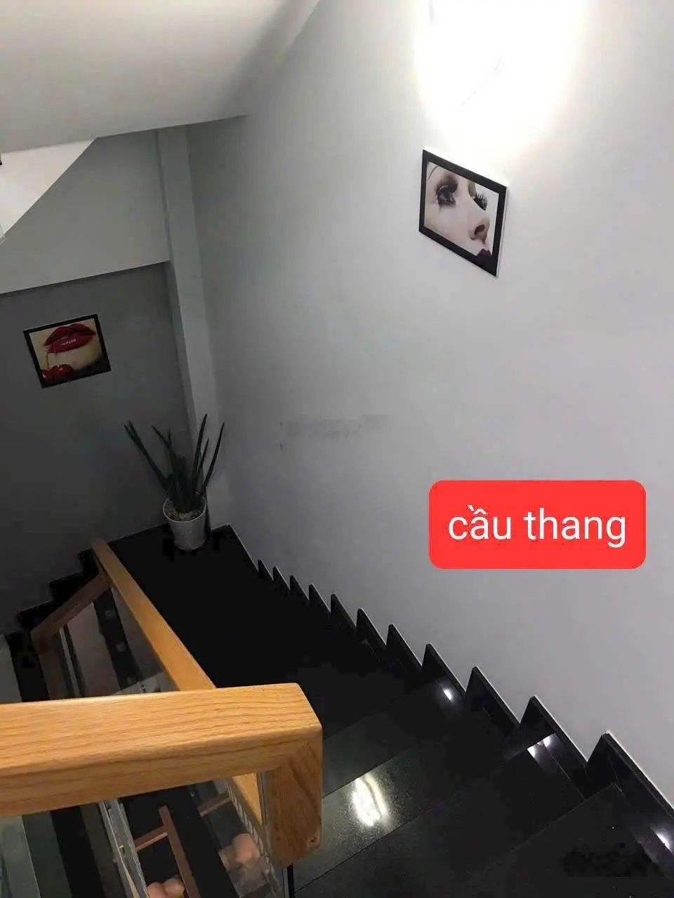 Buiding 4,7x8,8 m Mặt Tiền Cù Lao P.2 Q.Phú Nhuận, Thuê 40Tr/Th, Giảm 14tỷ860 Xuống 13Tỷ360