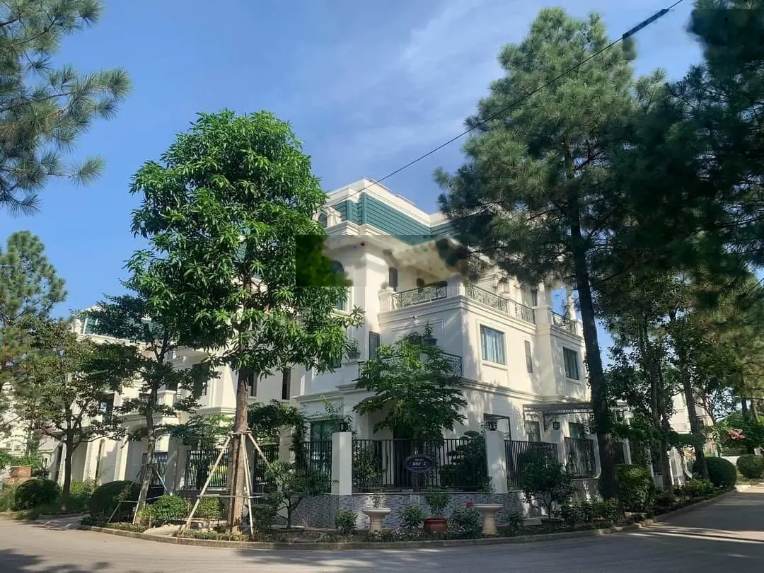 Ngộp bank! Cần bán gấp căn 200m2 trong tháng cuối năm - The Phoenix Garden