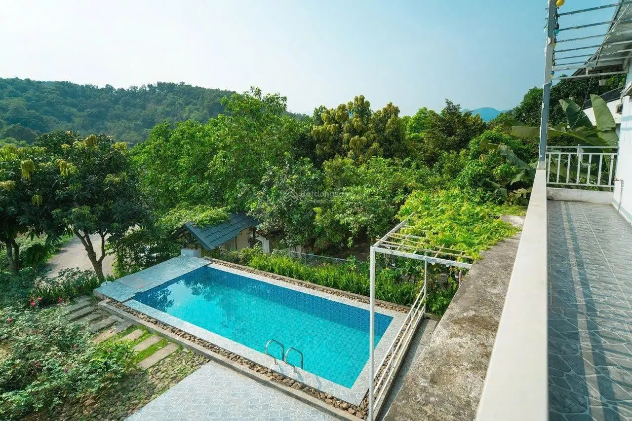 Siêu phẩm biệt thự 300m² đầy đủ nội thất, hồ bơi tại Lương Sơn - giá cực tốt!