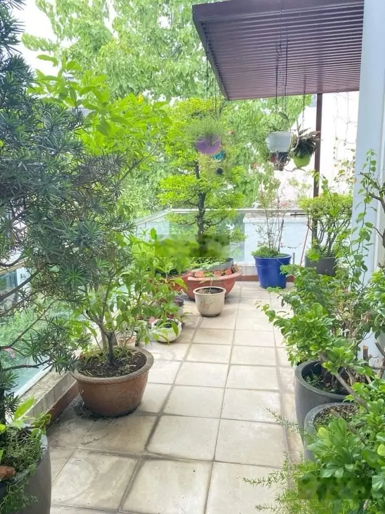 Nhà 156 m2 (8 x 20)m, 1 hầm 4 tầng, 2 mặt hẻm xe tải Lê Văn Sỹ. 43 tỷ