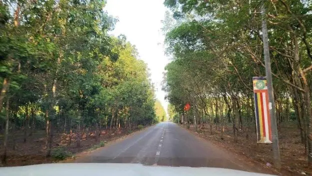 Bán BĐS nghỉ dưỡng tại Suối Râm, xã Xuân Quế, H. Cẩm Mỹ, Tỉnh Đồng Nai.