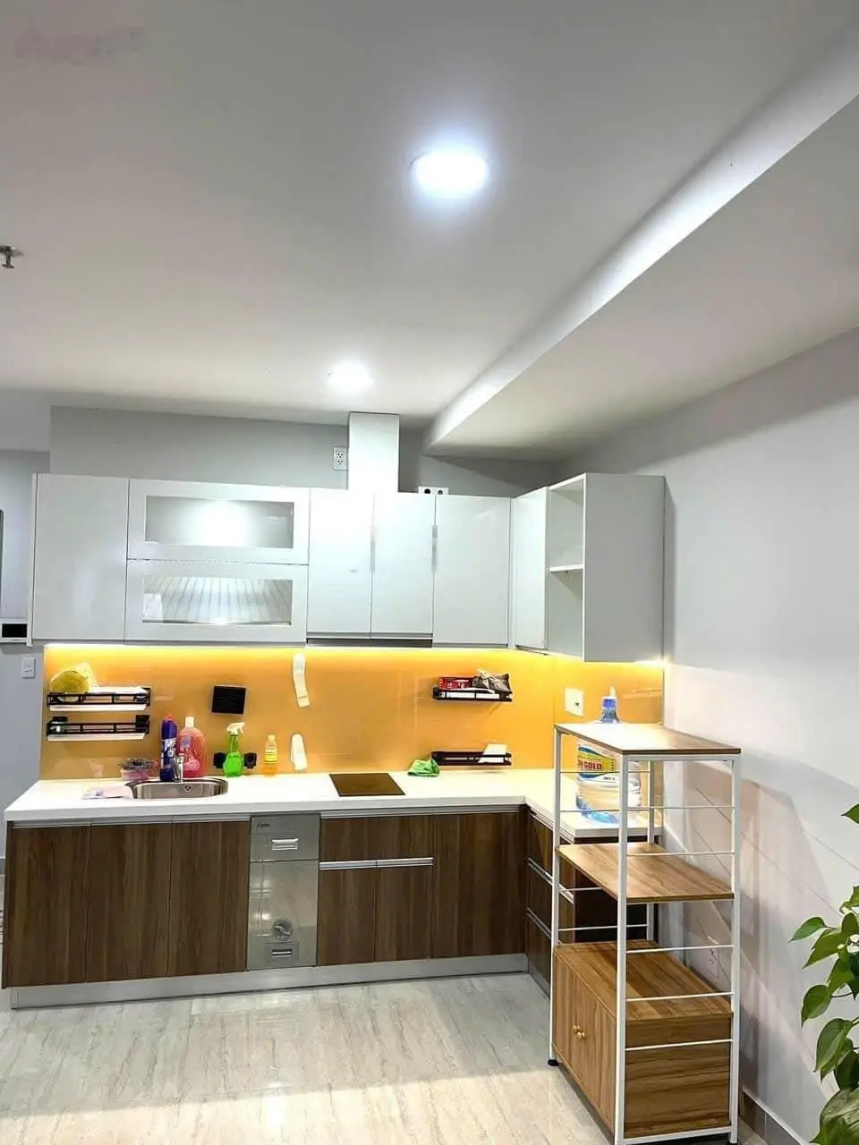 NGỘP NGÂN HÀNG CẦN BÁN GẤP Chung cư Biconsi Tower Chợ Đình 1PN Thủ Dầu Một-Bình Dương.