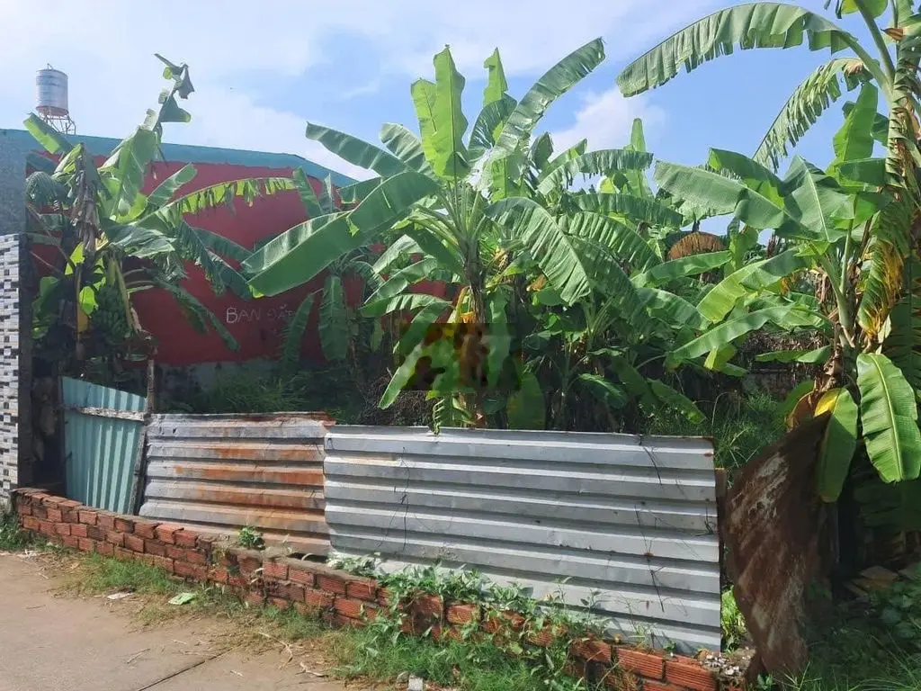 Bán Lô đất Nông Nghiệp sổ riêng hẻm 988 đường 30/4 Phường 11 Tp VT