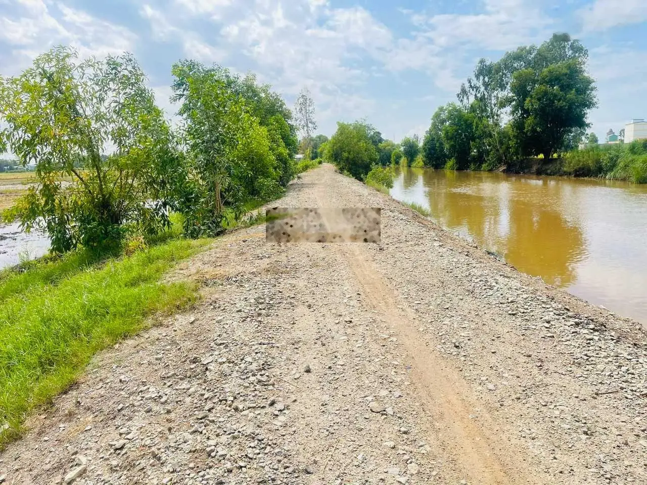 Bán 24 công ruộng tại Cô Tô, Tri Tôn, An Giang