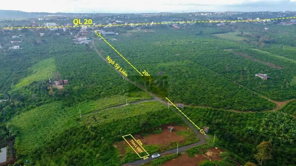 Đất ngộp chính chủ 6x22 75m thổ Thị Trấn Di Linh sổ riêng giá 550tr