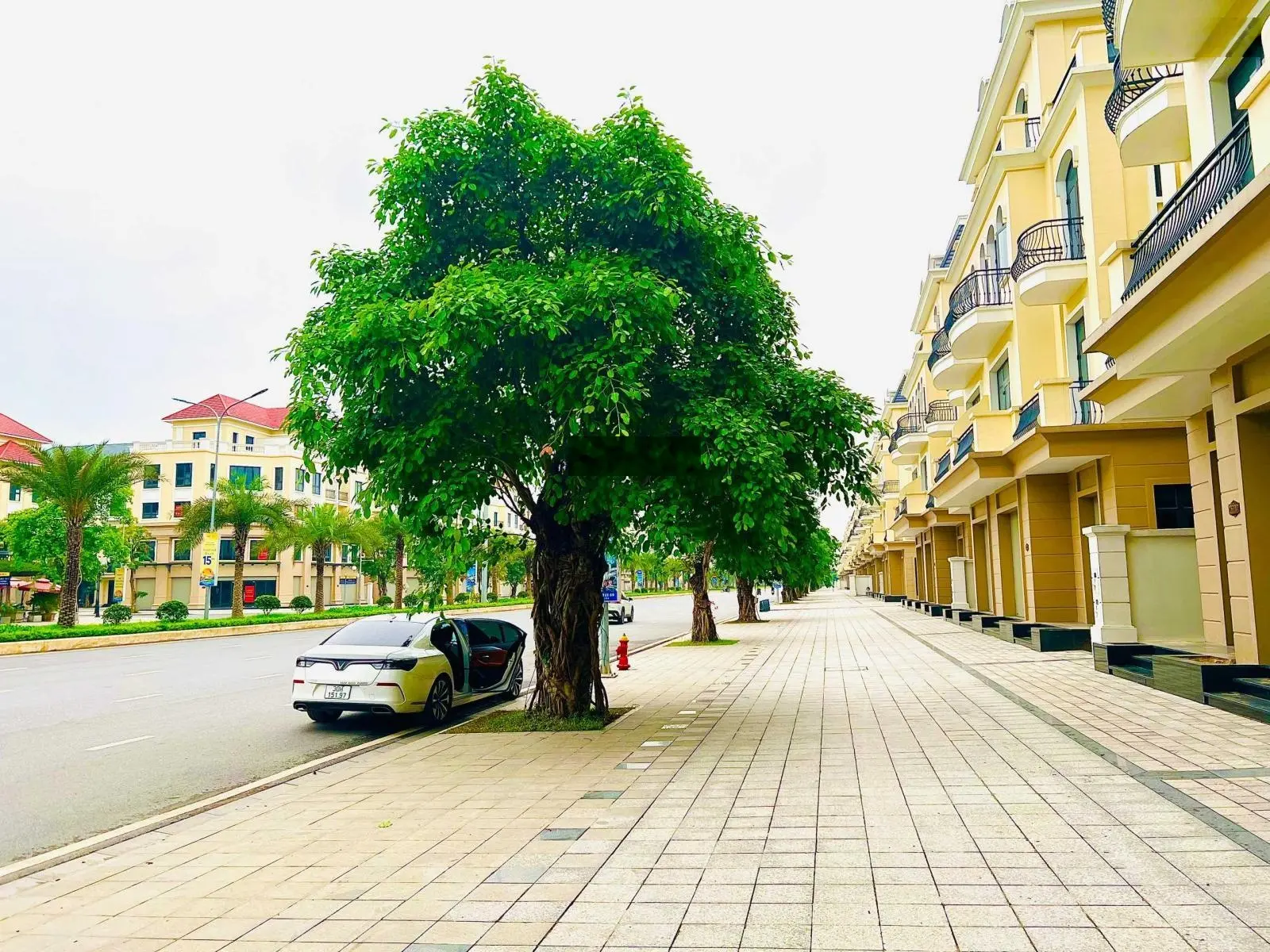 Quỹ biệt thự vip - sổ đỏ vĩnh viễn - Vinhomes Ocean Park 2