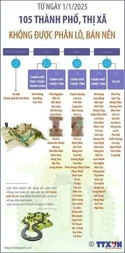 Cơ hội đầu tư có một không hai ngay tại trung tâm Hội An, chỉ 28tr/m2