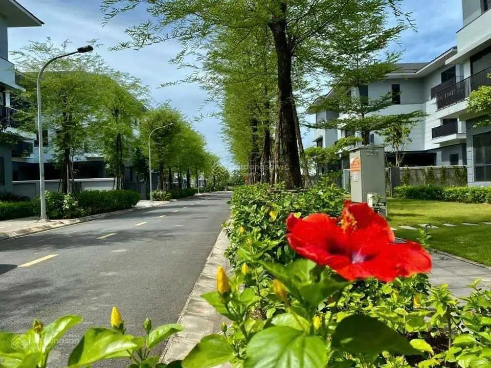 Tháng 4/2024! Quỹ căn liền kề, biệt thự vị trí đẹp, giá tốt nhất, các loại diện tích từ 100m2-450m2