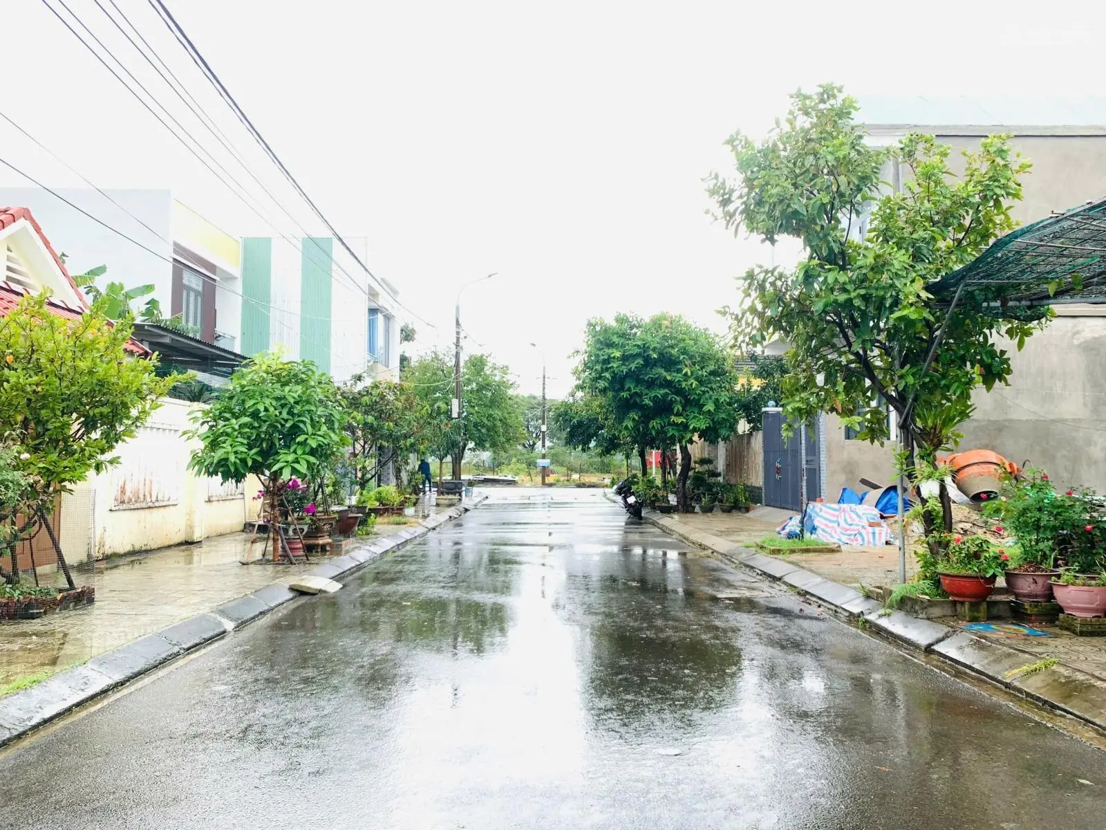 Bán gấp đất mặt tiền đường Bắc Thượng 2 gần ủy ban Hòa Hiệp Nam 95m2 Giá 2ty35 TL