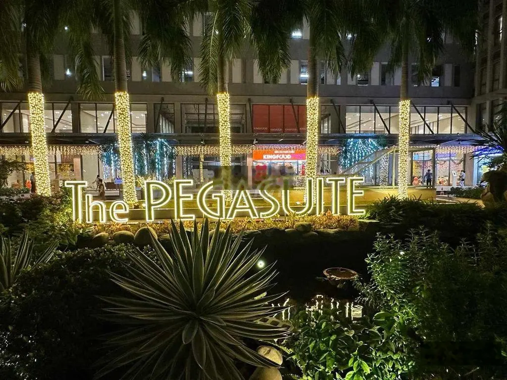 Đã có sổ Pegasuite1 giá 4,5 tỷ deal căn 3PN 2WC nhà mới đẹp full nội thất sang hỗ trợ vay ngân hàng