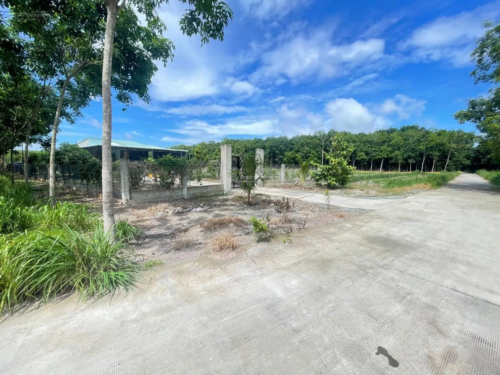 666m2 đất tại TX Chơn Thành, nằm ngay TT phường Minh Hưng 12m giá rẻ cho anh chị đầu tư