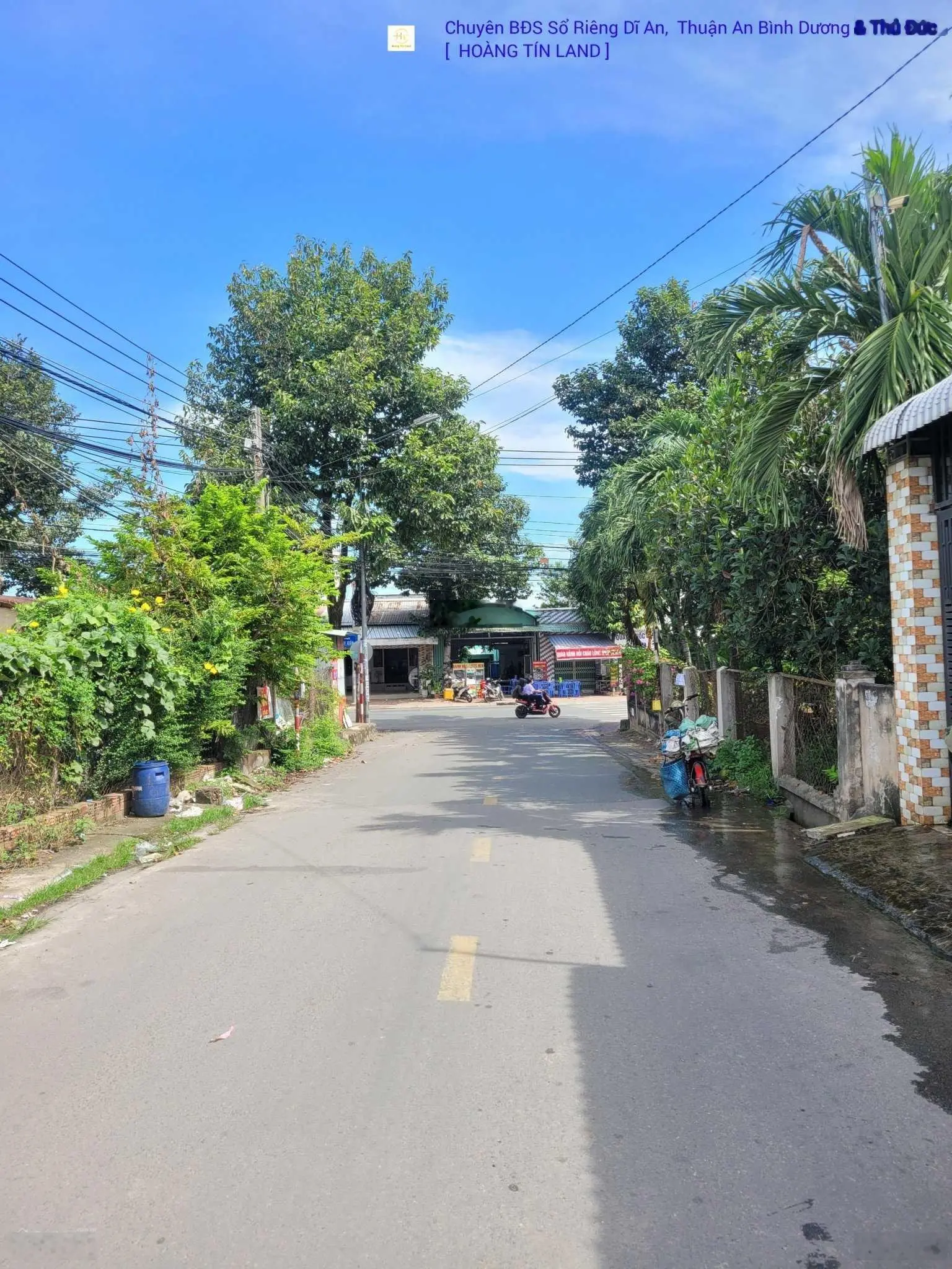 3ty1_ 7,2x14(100,6m2)_ Bán đất MT Đ- Cây Da_ Gần chợ Tân Bình_ Cách Đ- Bùi Thị Xuân 50m