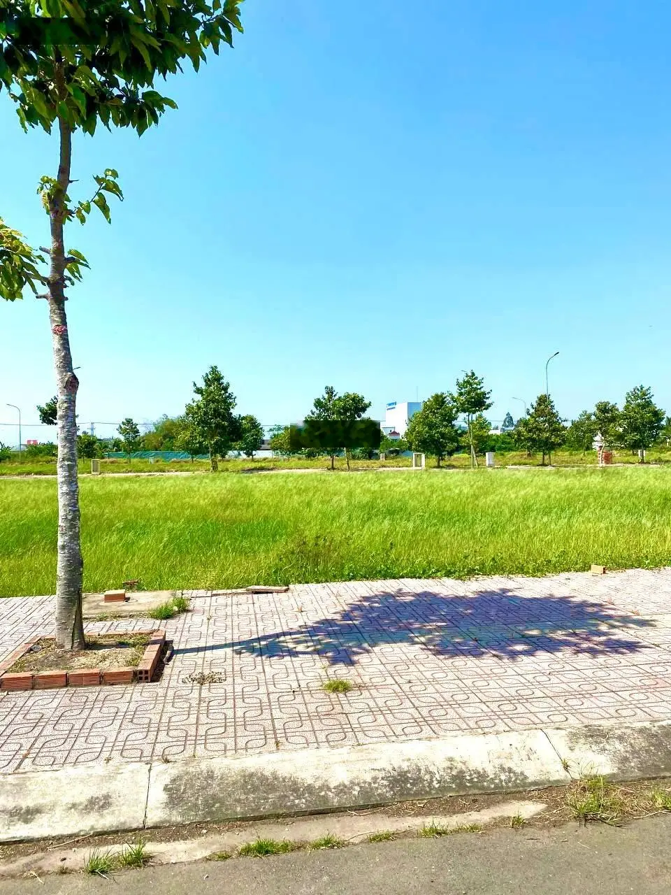 Cần bán đất chú Đạt sổ hồng đất (ODT) 100m2 - Trung tâm đô thị Thủ Thừa Long An