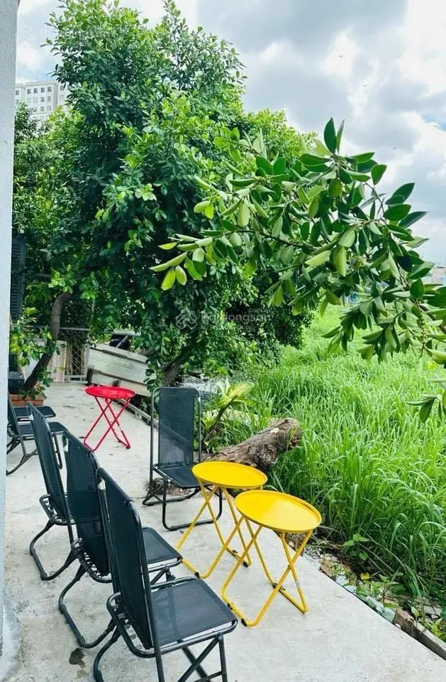 LH 0348 256 *** DT 30m2 nhà Phạm Thế Hiển P6 Q8 bộ thuế đủ kê khai 99 số nhà quận