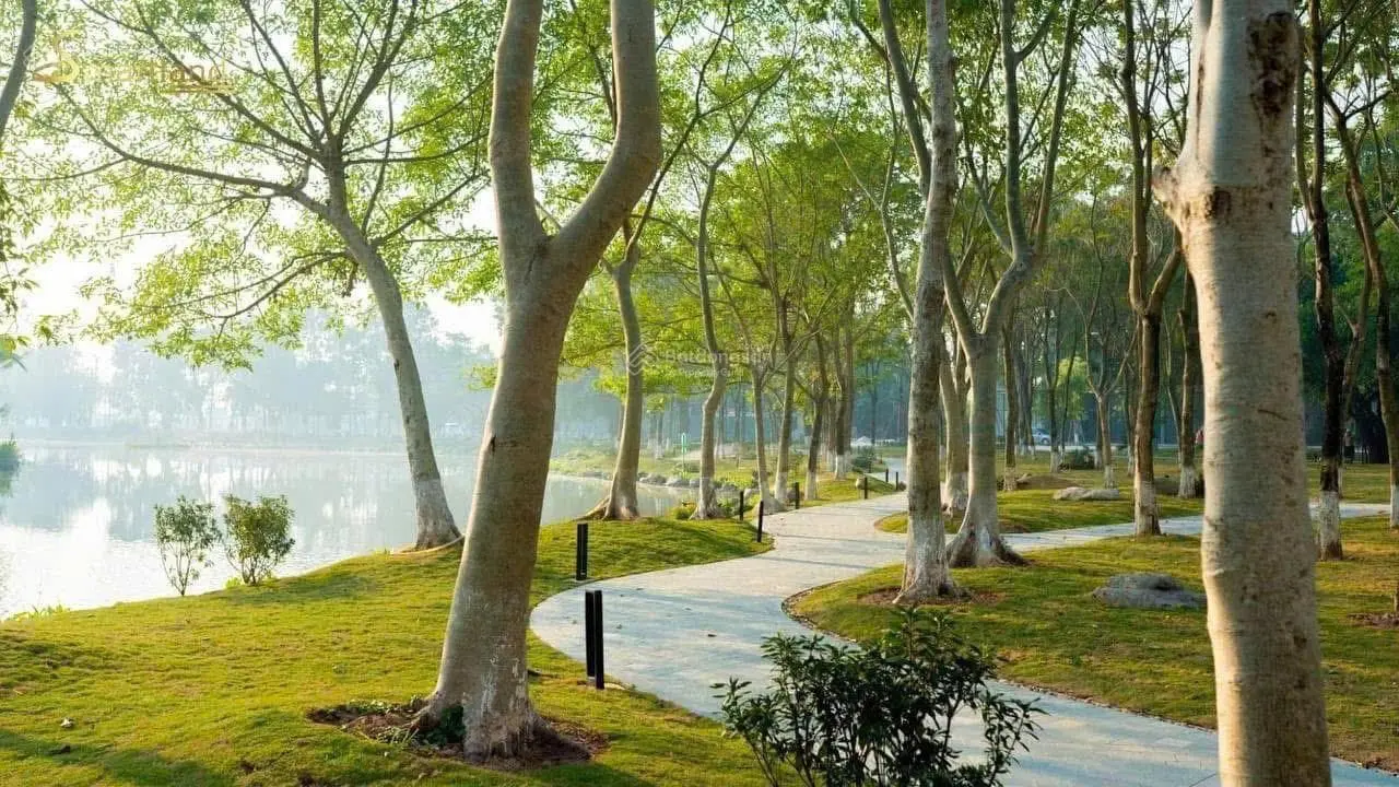 Eco Retreat - Không bán nhà mà trao yêu thương và giá trị môi trường sống