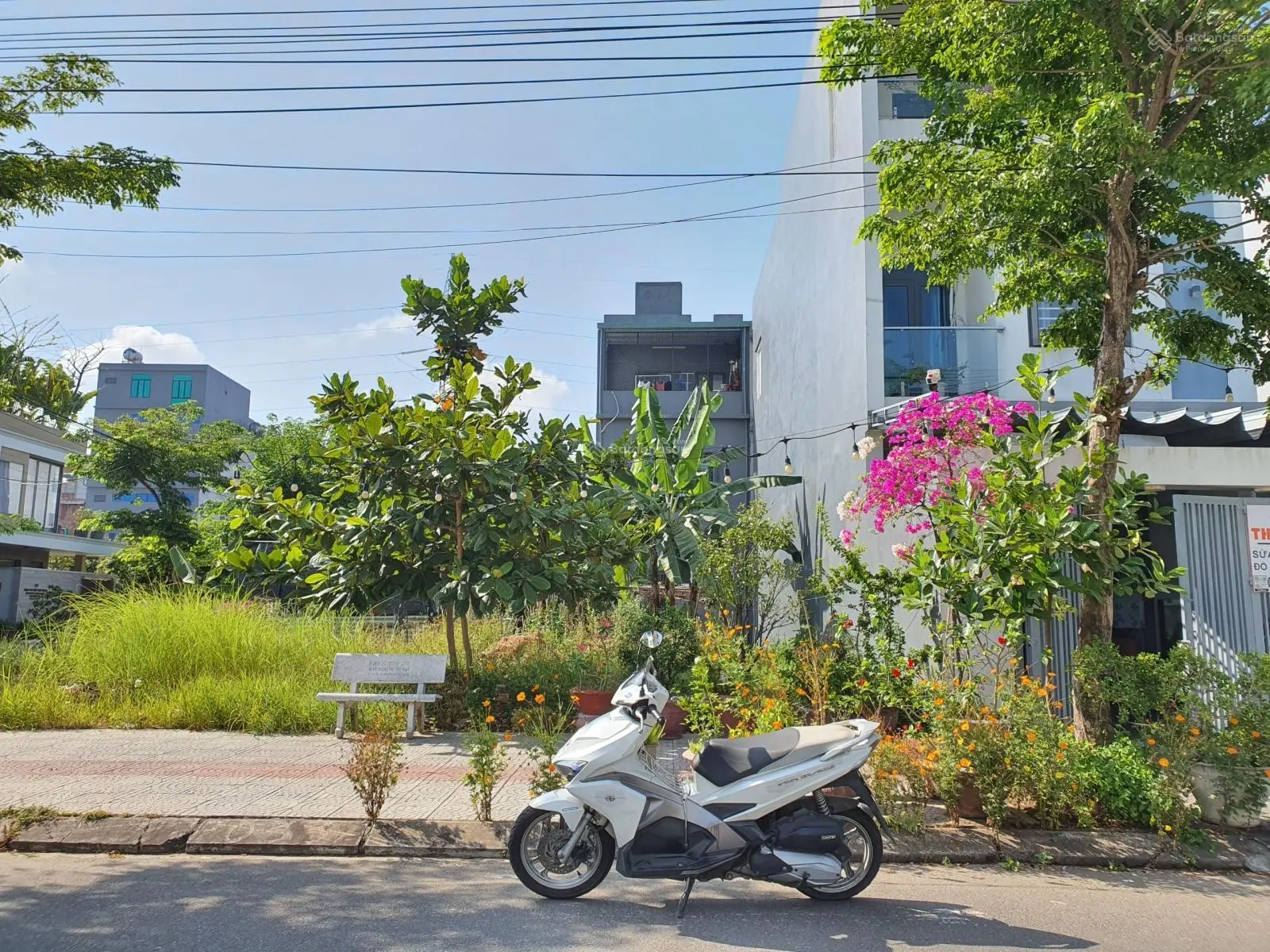 Bán đất đường Diệp Minh Châu (kẹp vệt cây xanh) - Hoà Xuân, Cẩm Lệ