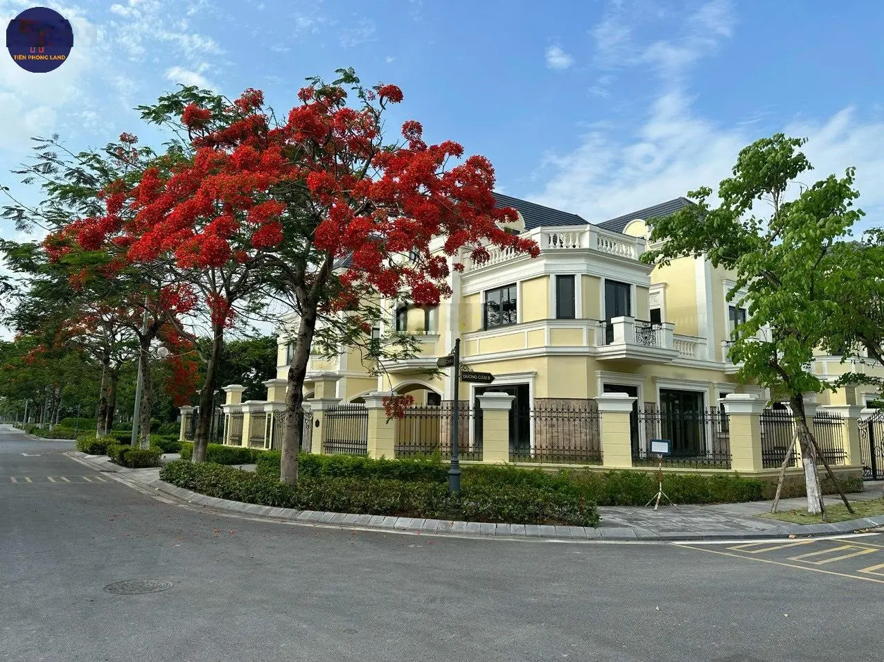 Quỹ căn biệt thự, liền kề kđt an lạc green symphony