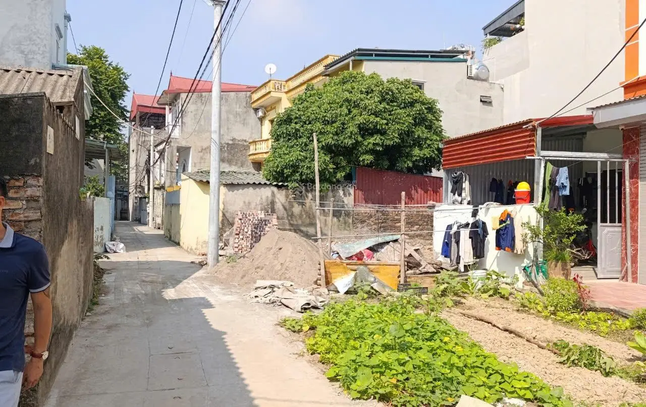Bán lô đất 75m2 Tiên Hội- Đông Hội, mặt tiền 4.29m, nở hậu, ngõ ô tô.