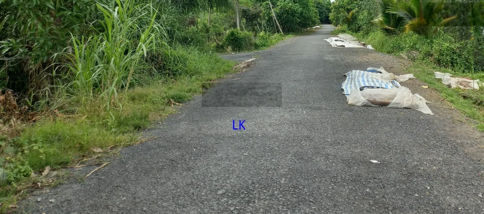 Bán đất lúa: 46.000m² (Mặt tiền 36m, Thổ 1.000m², 7.000m² CLN) Đường nhựa 3.5m, xã Phú Điền.