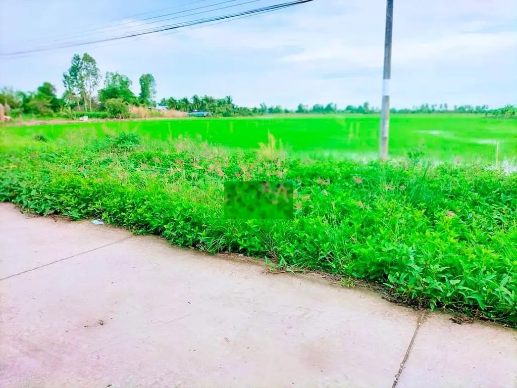 THỬA ĐẤT RỘNG LỘ Ô TÔ, KÊNH CHÒI NGỐI ,ẤP BÀO SƠN LÝ VĂN LÂM