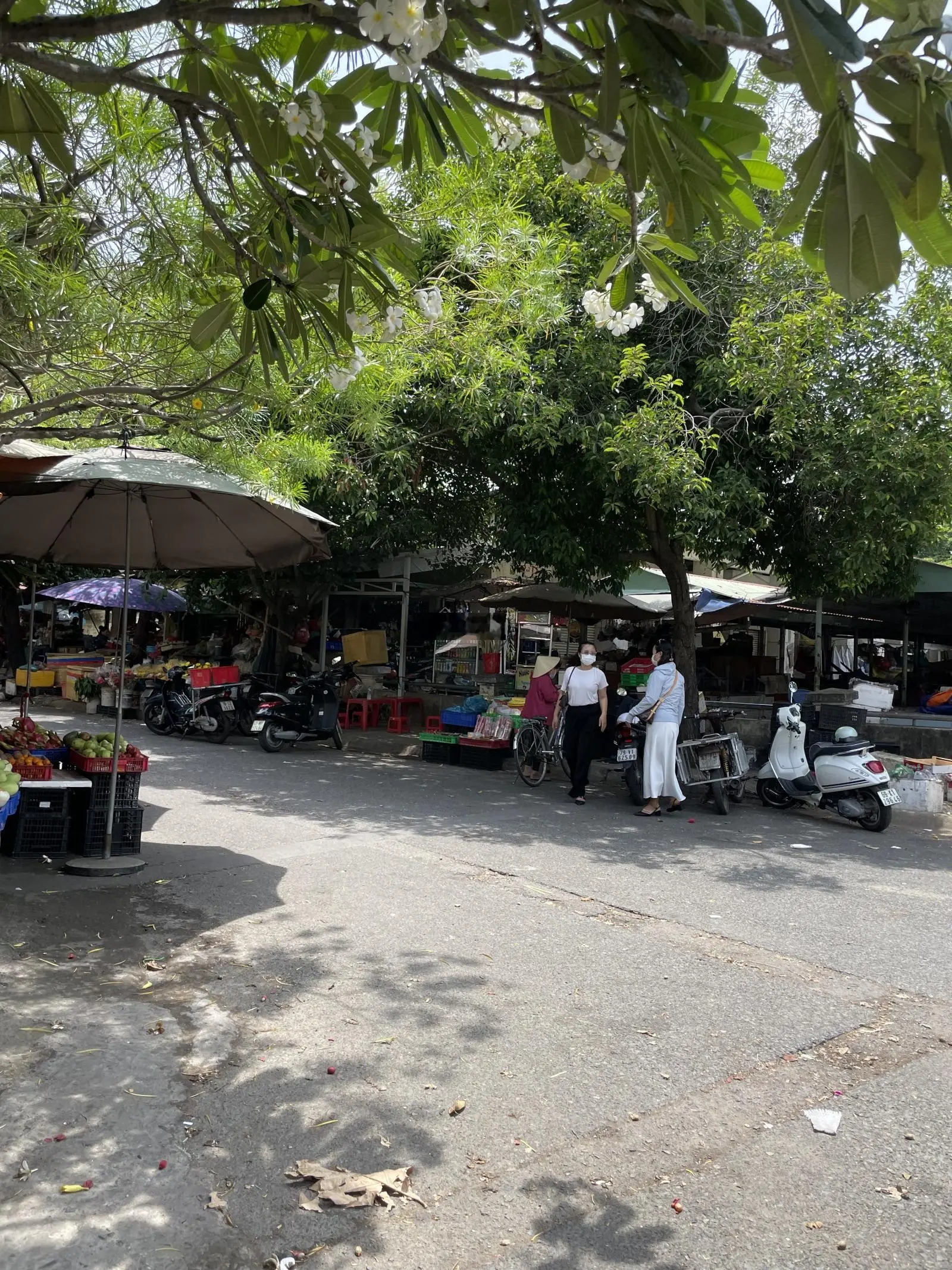 Mặt Tiền Kinh Doanh đối Diện chợ Hiệp Bình Chánh . Khu ven sông hiệp bình chánh