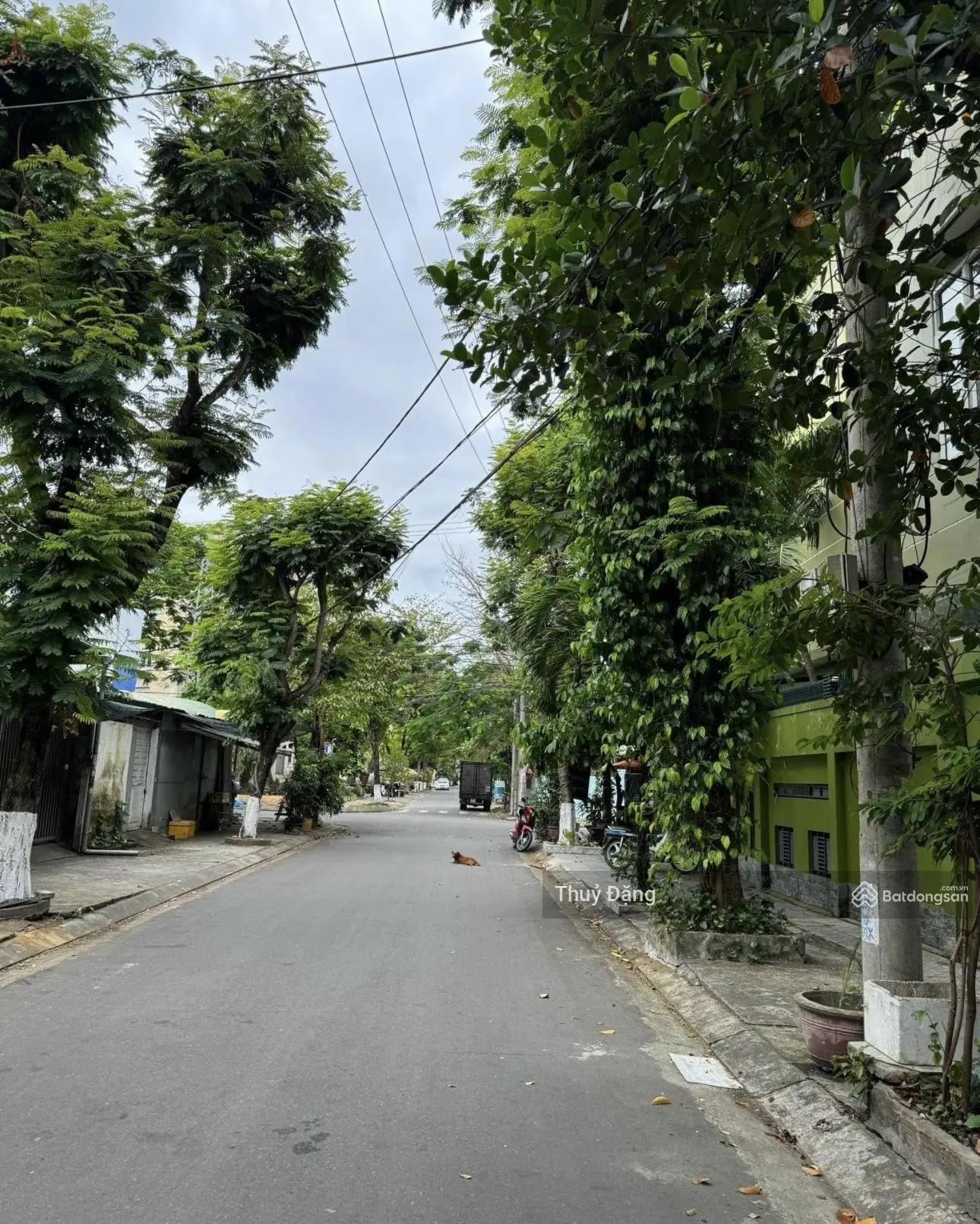 Bán nhà cấp 4 đường 5m5 Bãi sậy 87m2 kép đường luồng 1m2 đối diện công viên - Khuê Trung