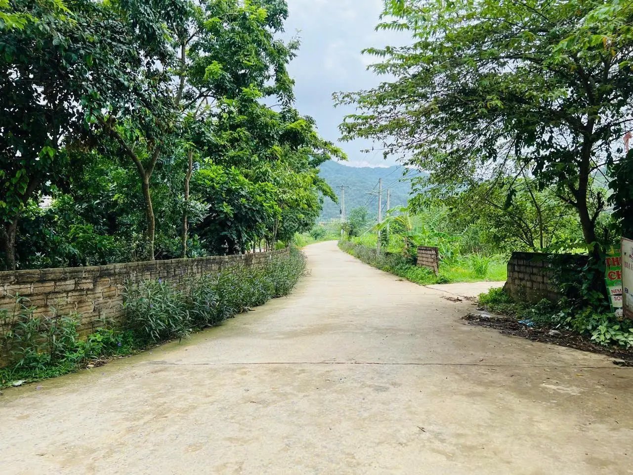 Cực đẹp 430m2 mặt tiền 10m tại tuyến 1 Thôn Chóng - Yên Bài - Ba Vì - HN