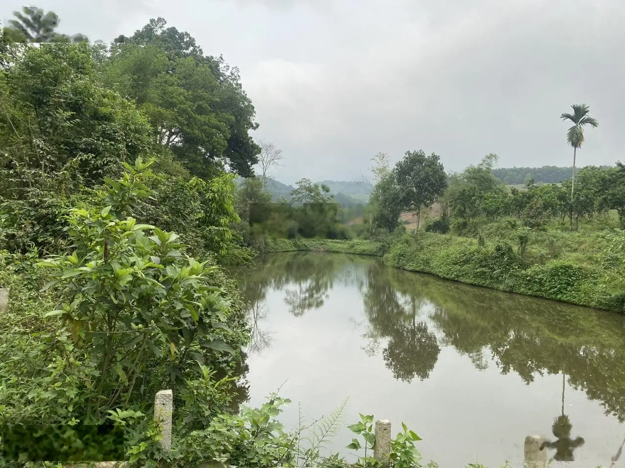 Cần bán 20.000m2 đất thuộc Phú Mãn , Quốc Oai! làm thiền viện, homestay..lh: 0902 298 ***
