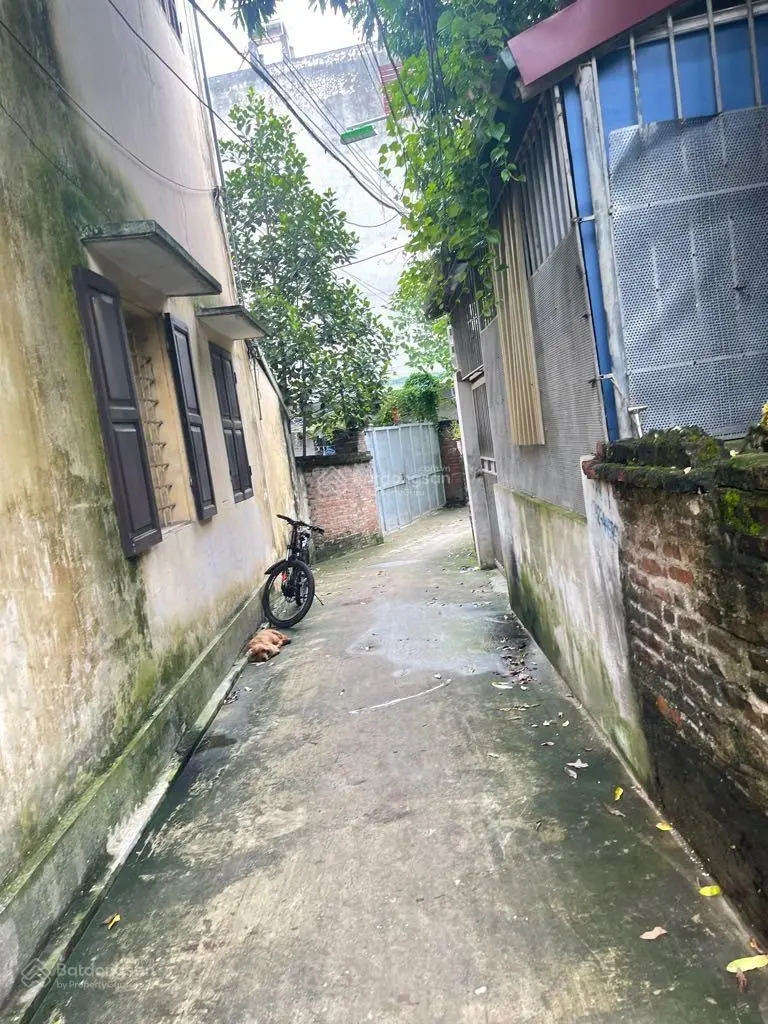 Bán giúp ông anh hàng xóm mảnh đất Yên Nội. 78m2, giá chỉ 3,8 tỷ