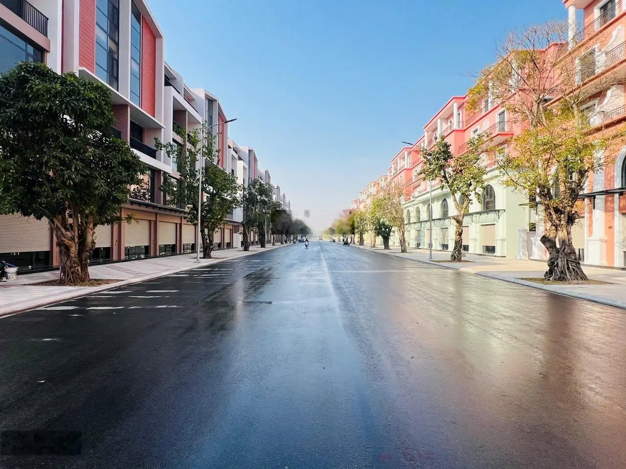 Shophouse Đại Lộ Hừng Đông Vin 3 trục đường chính 25m - 70m2 giá 10,6 tỷ. Nhận nhà kinh doanh luôn