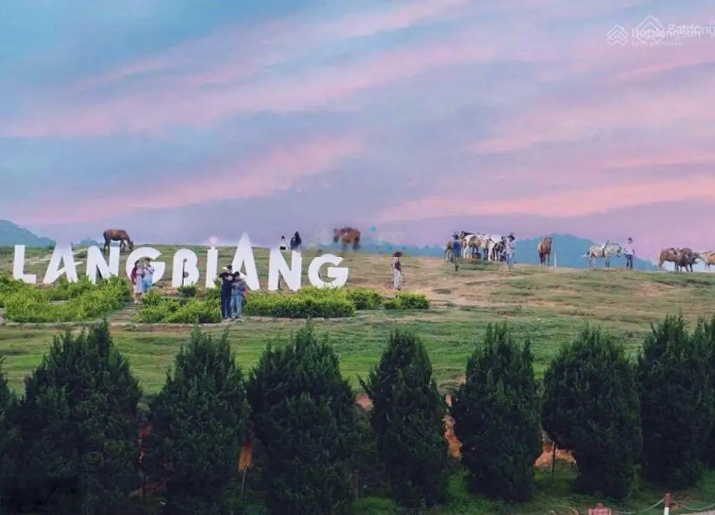 Đất Lang Biang sổ sẵn 1000m2 có thổ cư, đường xe hơi