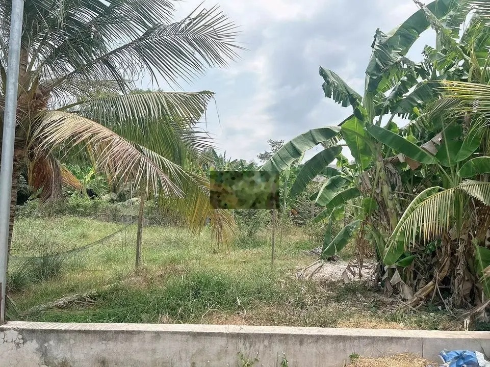 bán 4000m2 đất 2 tỉ 3, đường nhựa 18m, đất vườn, sổ hồng riêng,