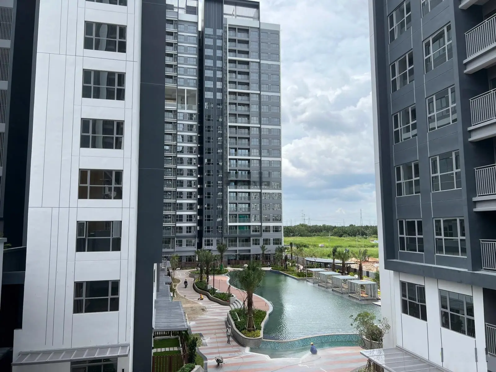 Celesta Rise - Mua đúng bán nhanh - rổ hàng chất lượng