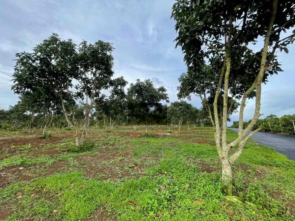 Đất đẹp - Giá F0 - Sổ ra tháng 07