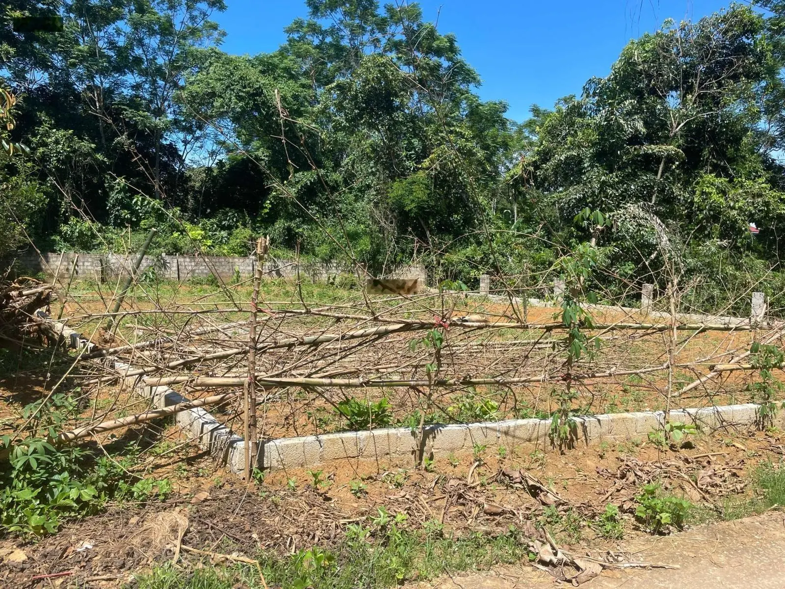 Chính chủ cần bán lô đất - Thạch Định - Thạch Thành - diện tích 392m2 - full thổ cư