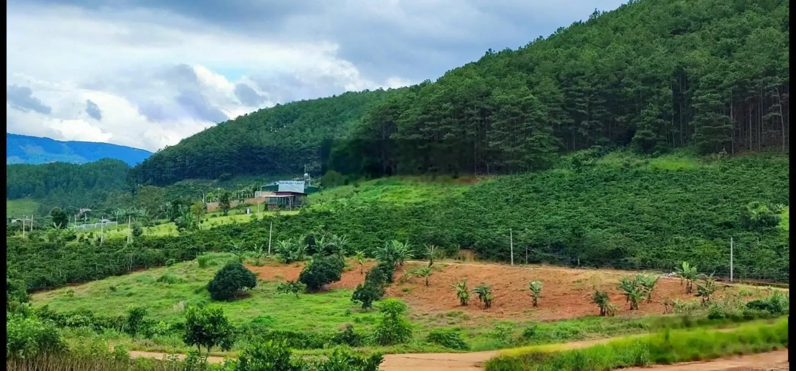 Bán lô đất cách trục 725 chỉ 600 m view thông TT xã Mê Linh sát cạnh Đà Lạt giá hơn tỷ