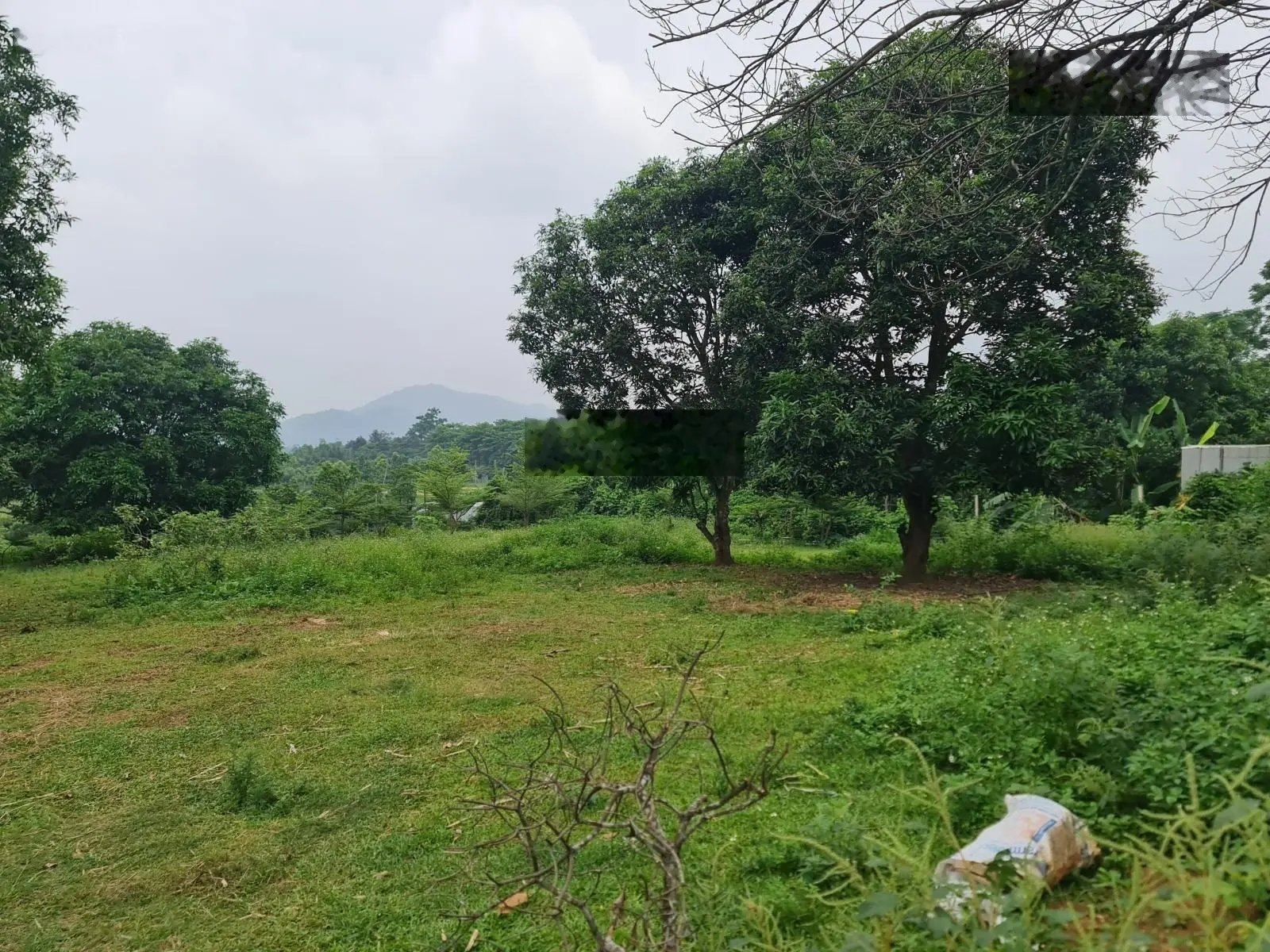 Bán đất nghỉ dưỡng 2502m2 2 mặt đường nhựa sát homestay resort đất ONT view thung lũng 7,9 tỷ