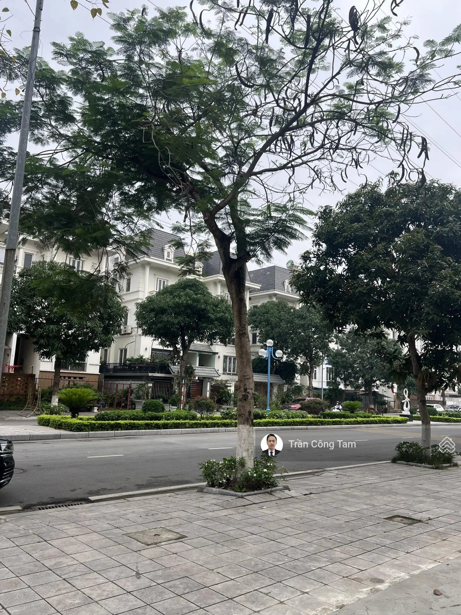 Tổng hợp quỹ căn chuyển nhượng tại dự án Lideco