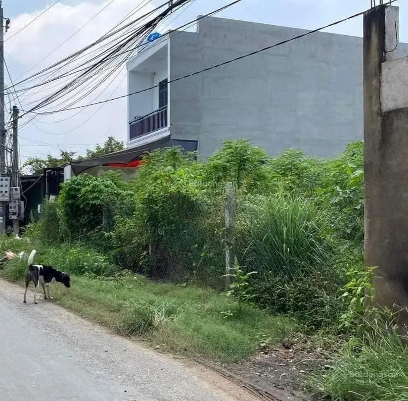 Kẹt tiền bán gấp. Đường Phú Khương, TP. Bến Tre. 90m2. SHR
