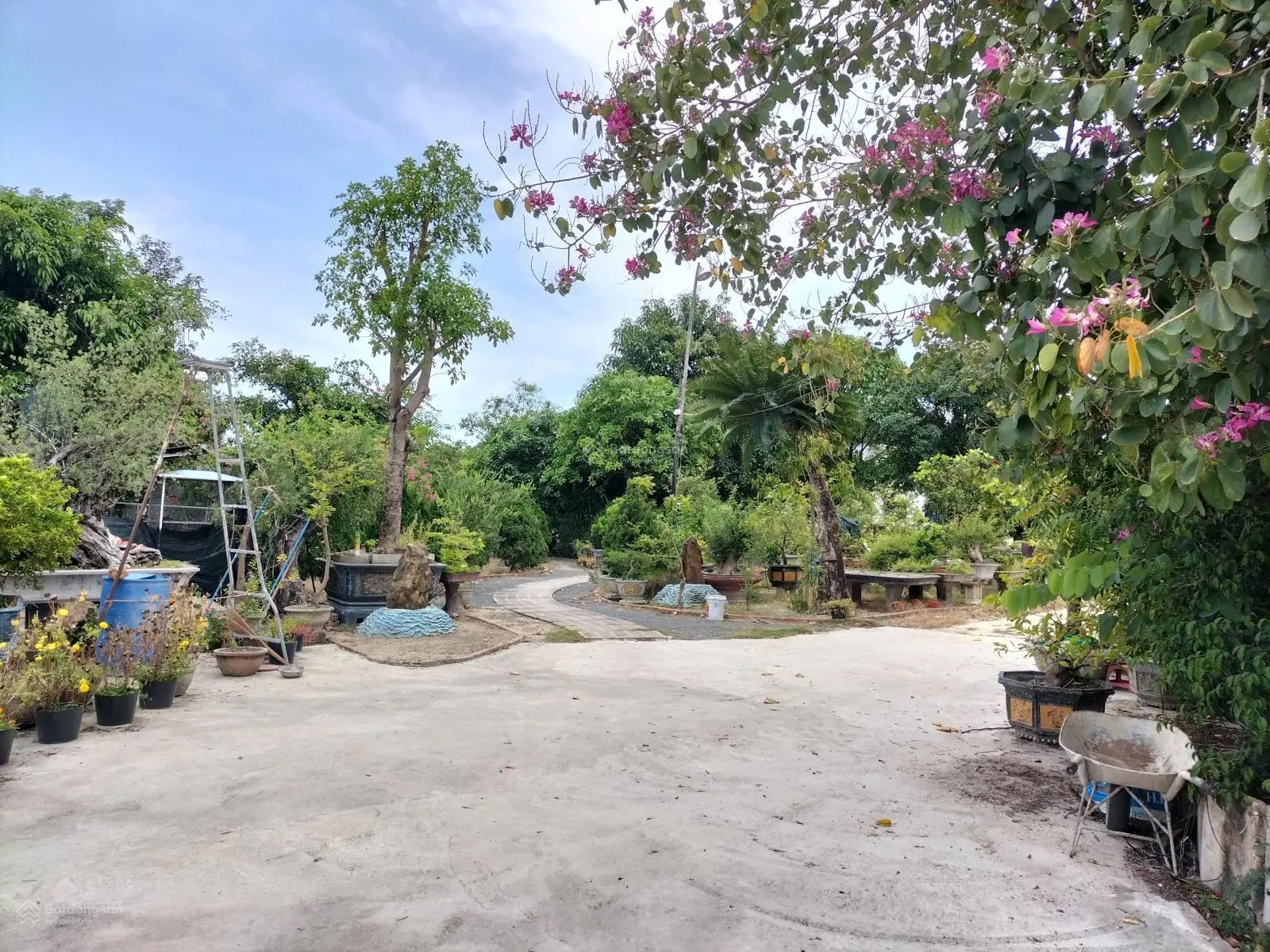 Bán nhà sân vườn Đinh Tiên Hoàng, Cam Đức, Cam Lâm, Khánh Hòa, 17 tỷ, 1450m2, giá tốt