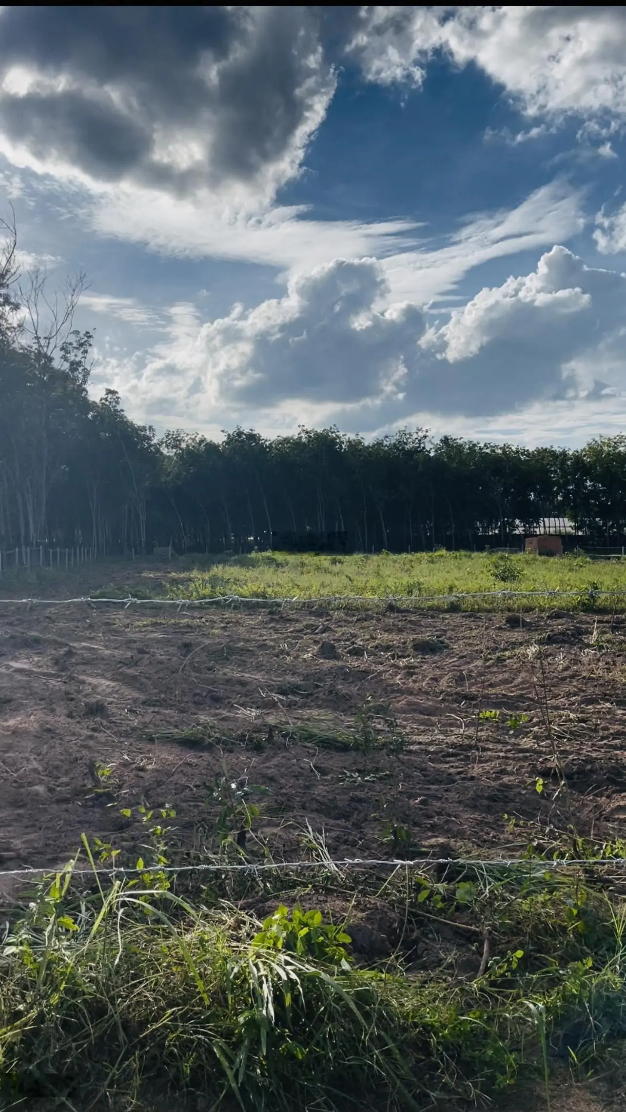 Bán đất 2 mặt tiền giá 10,49 tỷ, diện tích 5168 m2, tại Bến Tượng, Lai Hưng, Bàu Bàng, Bình Dương
