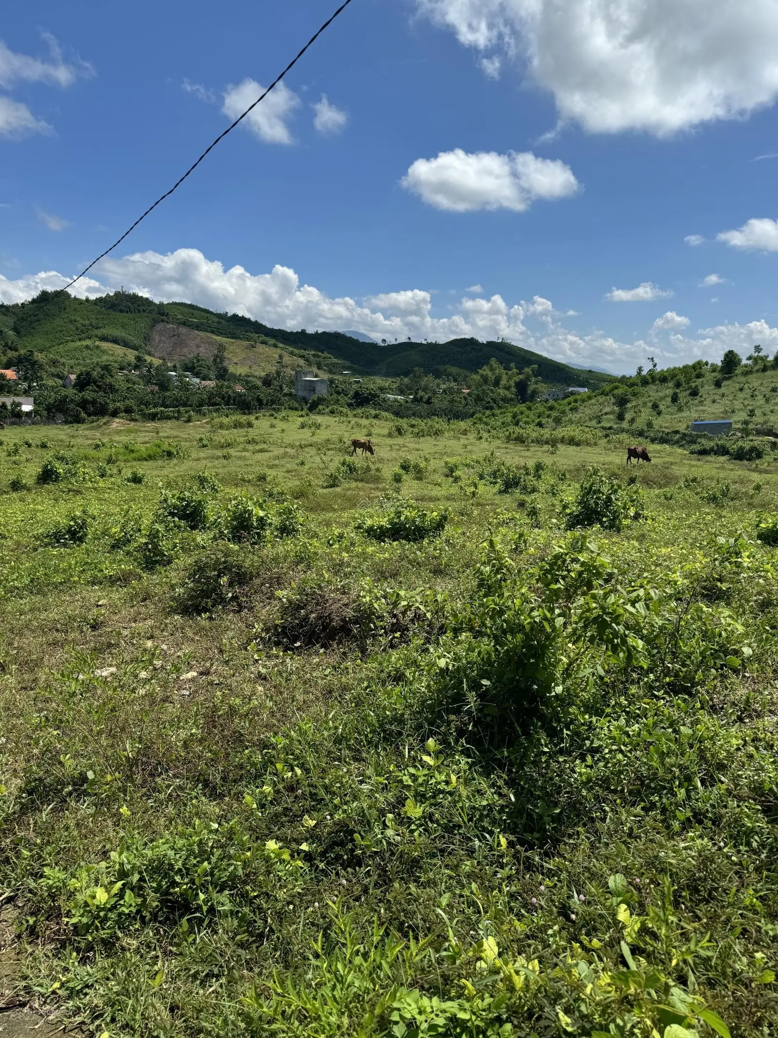 Bán đất thôn Hòn Dù - Khánh Nam - Khánh Vĩnh