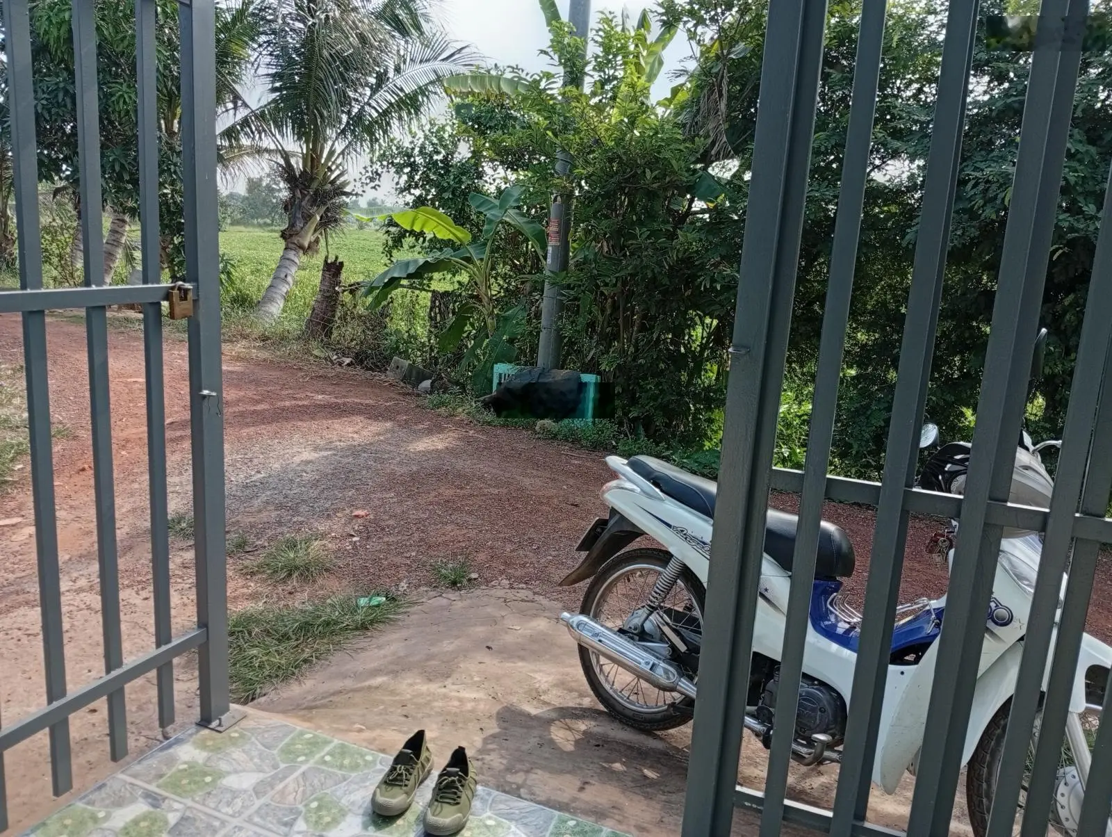 Bán nhà cấp 4 đường đê Mồng Gà tt Cần Giuộc