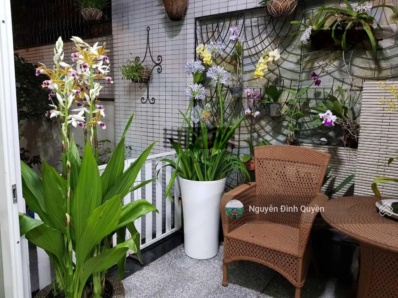 Chính chủ - giảm bán nhanh biệt thự quận 2 - hầm 3 lầu full nội thất - 200 m2 - chỉ 43 tỷ