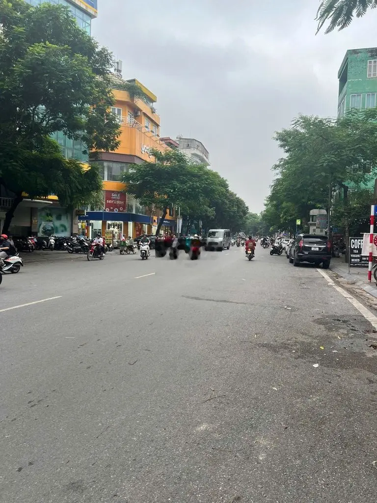 Bán nhà mp Trần Đại Nghĩa 369 m2, vị trí đắc địa, sổ đỏ nở hậu, 75 tỷ