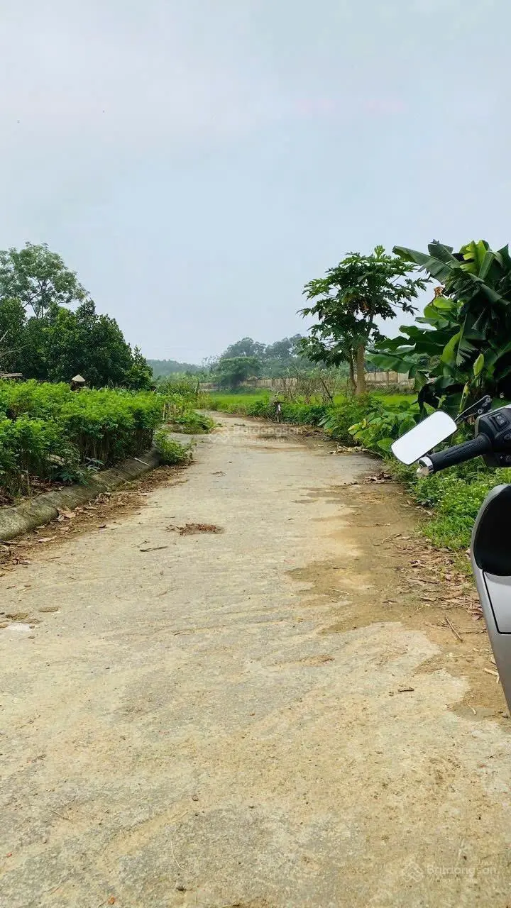 Bán đất thôn 2 , xã tân xã, thạch thất 2,55 tỷ vnd, 60,7m2, mặt tiền 5,3m - hàng độc tại hoà lạc