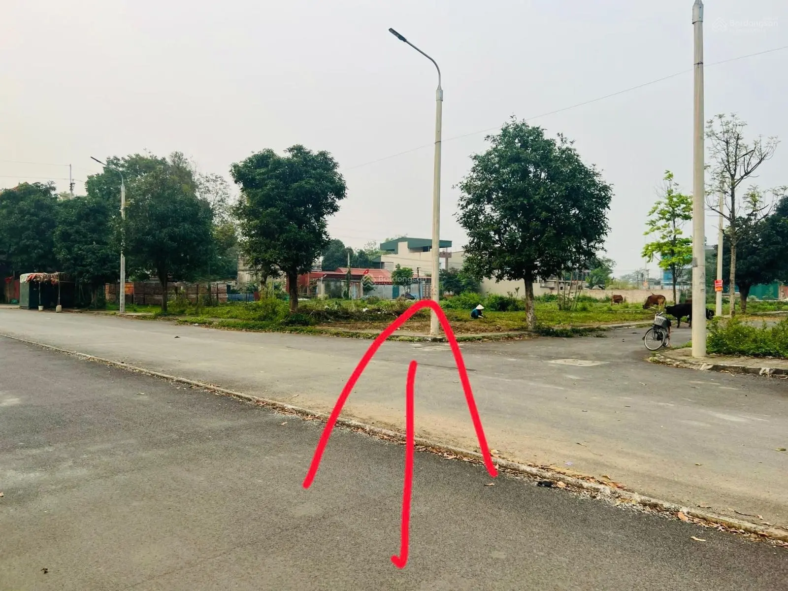 Lô góc, 114m2, khu hồ sen, đường lớn kinh doanh, sát trường ĐH FPT, ĐHQG